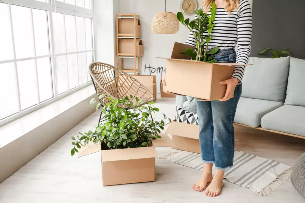 a woman placing her plants into boxes preparing to move in