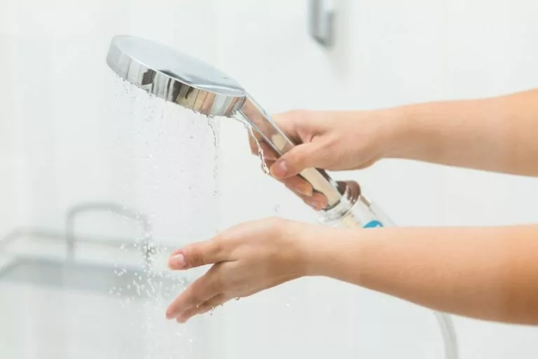 Everything You Need to Know About How to Clean Shower Head