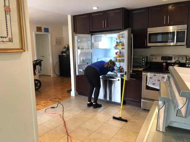 an image of a female Onix cleaner meticulously cleaning a refrigerator in a well-organized kitchen