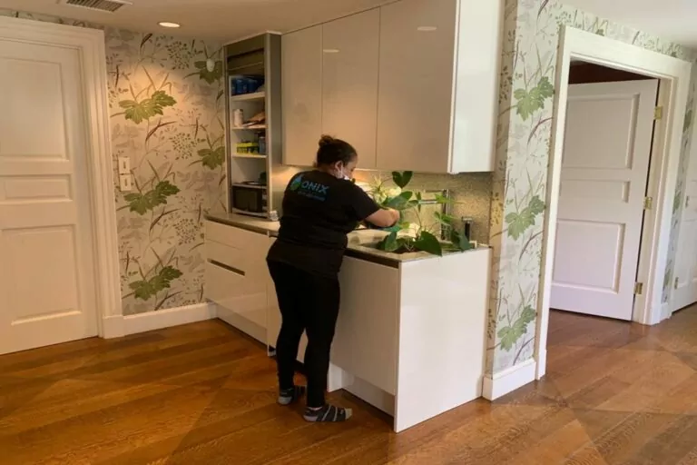 female Onix cleaner meticulously tending to an indoor plant on the countertop